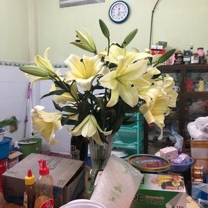 Meet your Posher, Huynh